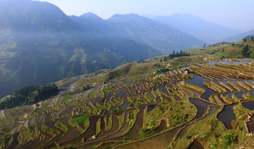 贵州加榜梯田风景图片(20张)