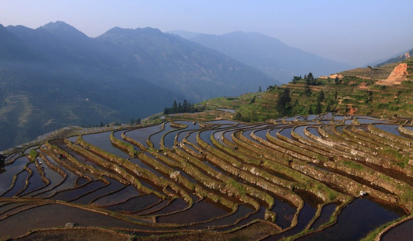 贵州加榜梯田风景图片(20张)