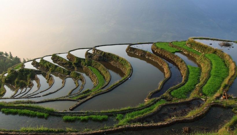 贵州加榜梯田风景图片(20张)