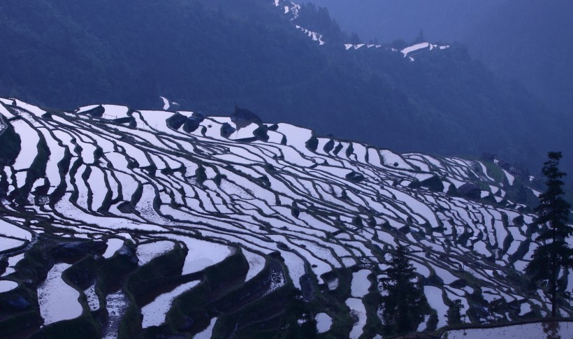 贵州加榜梯田风景图片(20张)