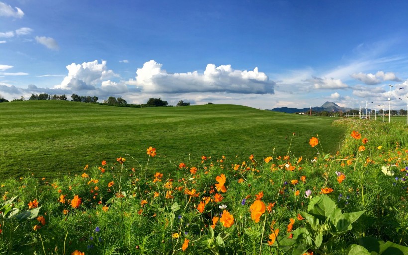 云南嘉丽泽湿地风景图片(11张)