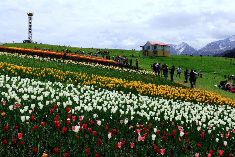 新疆江布拉克草原风景图片(27张)