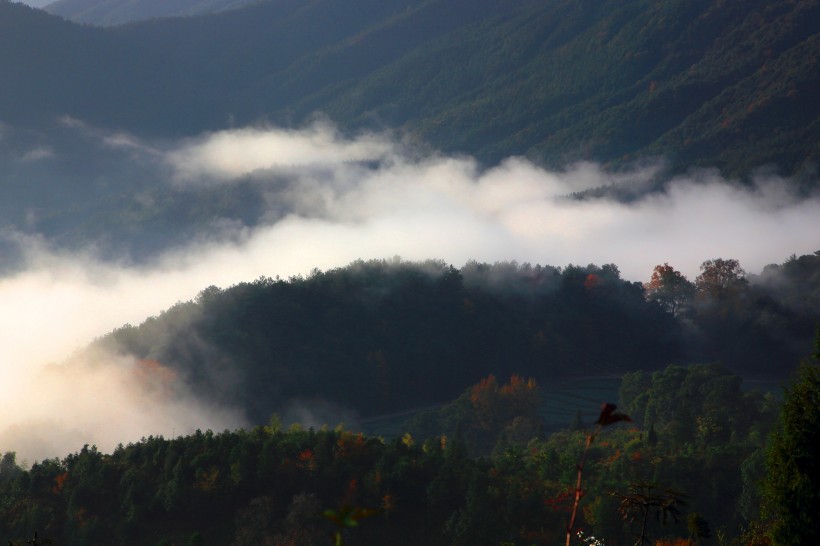 江西上饶江岭云海风景图片(14张)