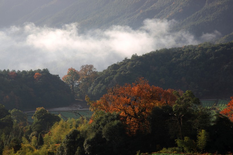 江西上饶江岭云海风景图片(14张)