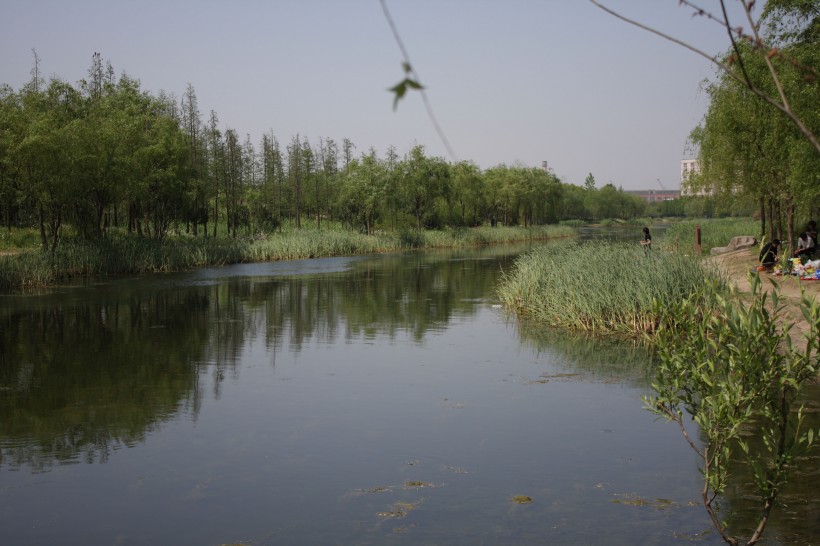 江湾湿地风景图片(6张)