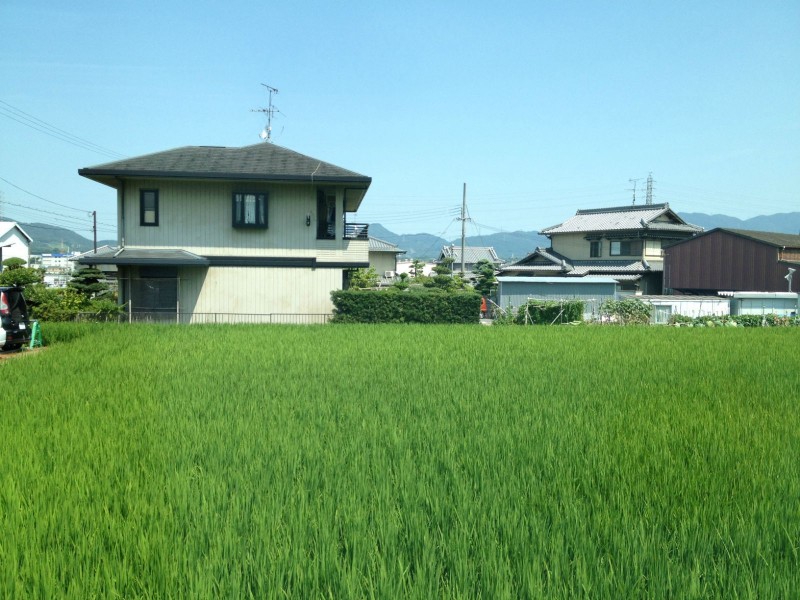 日本京都风景图片(21张)