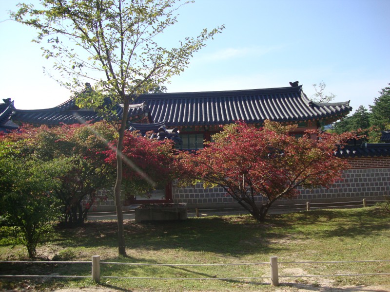 韩国景福宫风景图片(8张)
