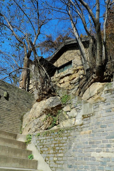 陕西长安净业寺风景图片(15张)