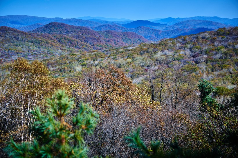 黑龙江金龙山风景图片(8张)