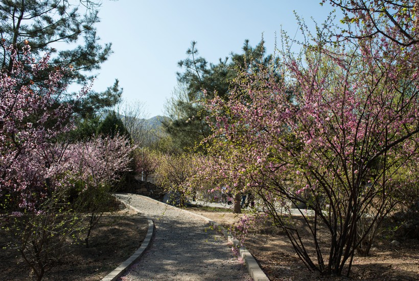 北京鹫峰森林公园风景图片(7张)