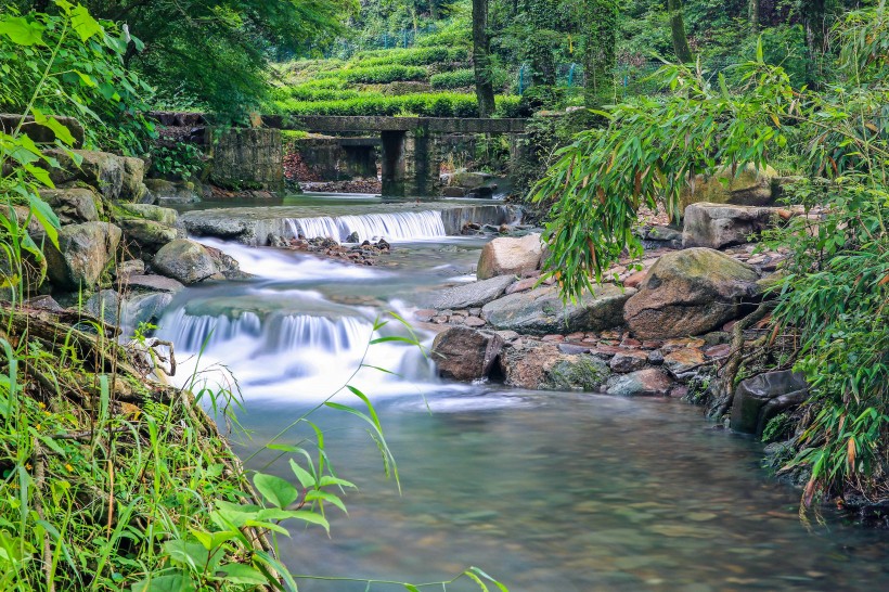 杭州西湖九溪风景图片(16张)