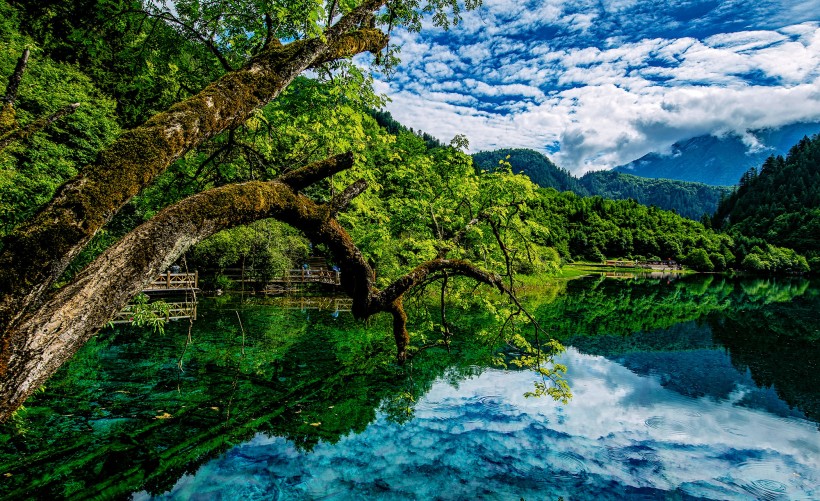 夏日四川九寨沟风景图片(9张)