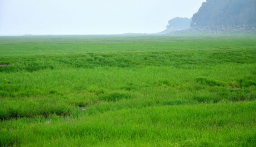 湖南君山岛风景图片(33张)