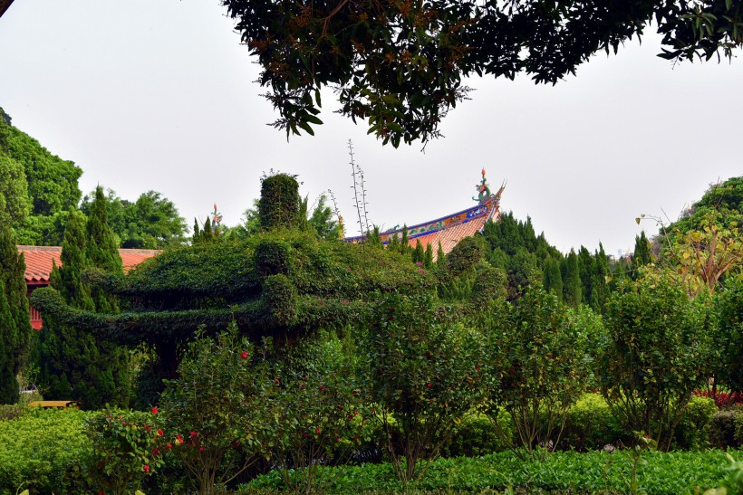 福建泉州开元寺风景图片(15张)