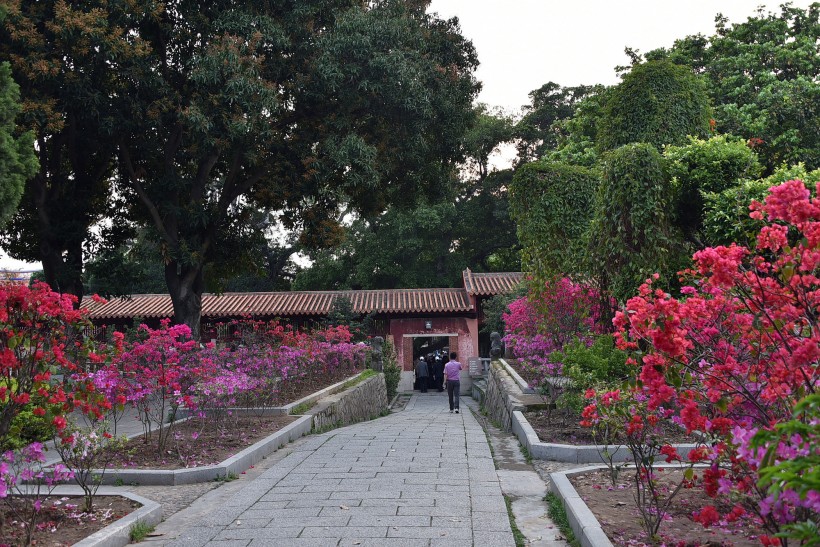 福建泉州开元寺风景图片(15张)