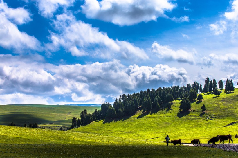 新疆喀拉峻草原风景图片(9张)