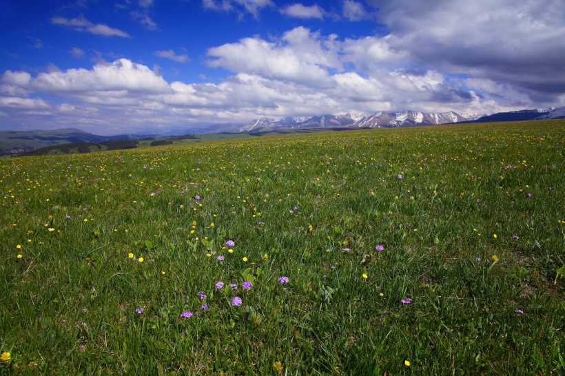 新疆喀拉峻草原风景图片(15张)