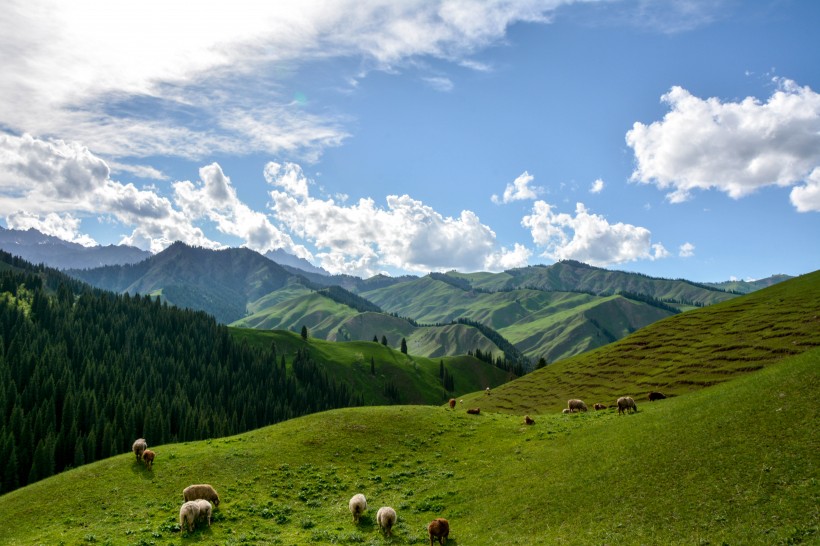 新疆科克尔斯陶牧区风景图片(9张)