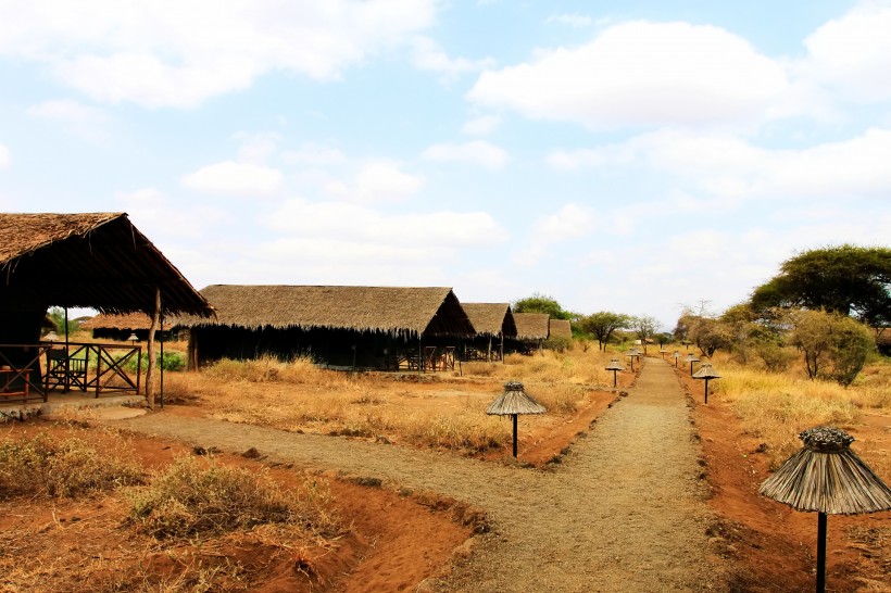 释放的原野：魅力肯尼亚风景图片(20张)