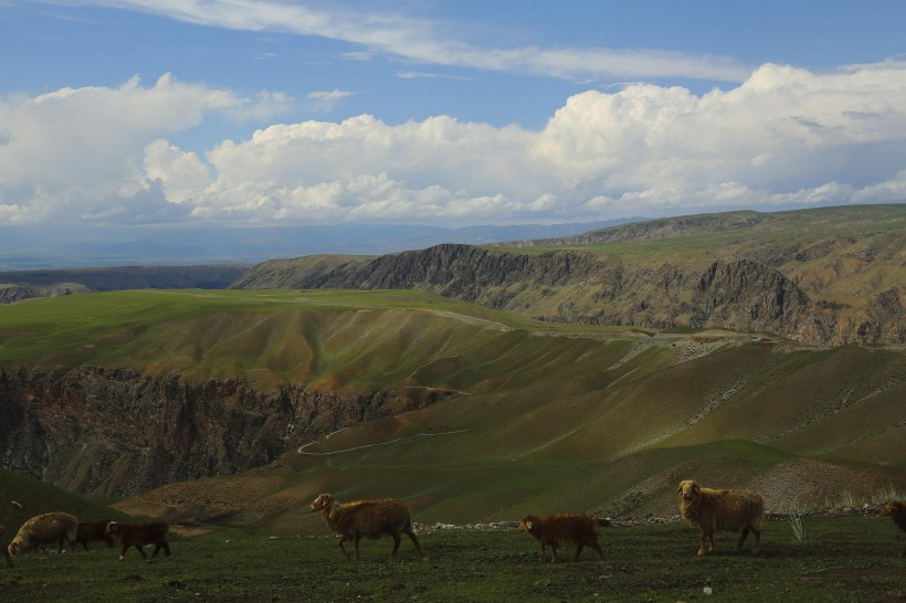 新疆阔克苏大峡谷风景图片(8张)