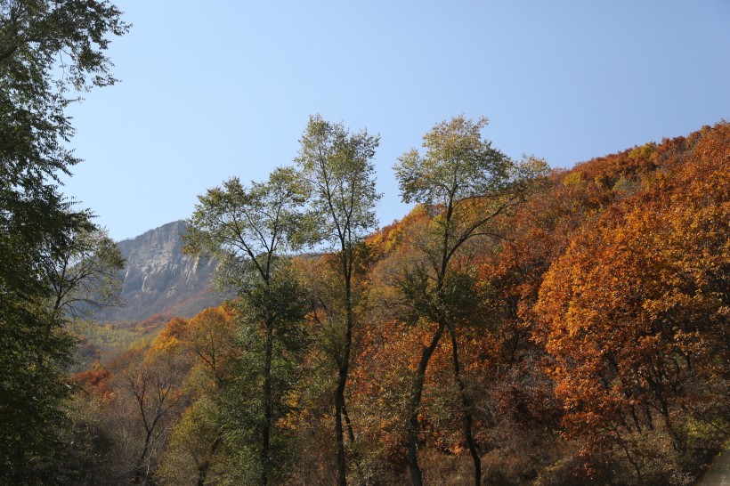 北京怀柔喇叭沟门风景图片(18张)