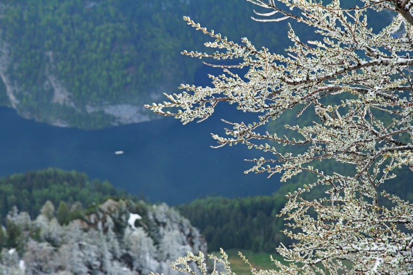 景色优美的博登湖图片(16张)