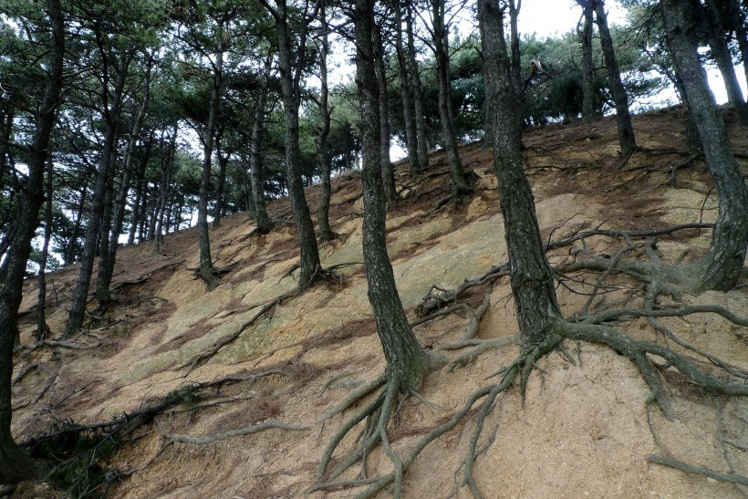 陕西蓝关古道风景图片(13张)