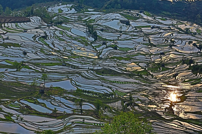 云南元阳老虎嘴梯田风景图片(13张)