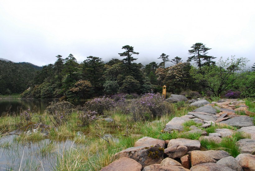 云南丽江老君山风景图片(8张)