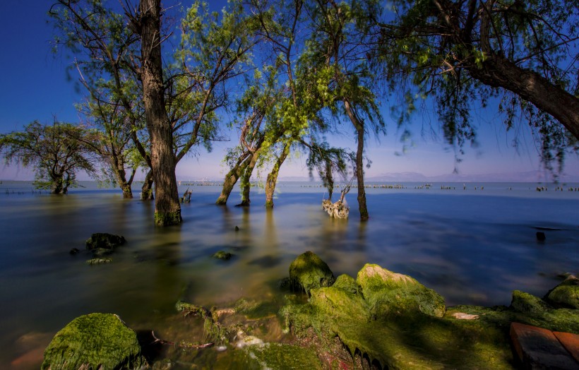 云南昆明捞鱼河湿地公园风景图片(21张)