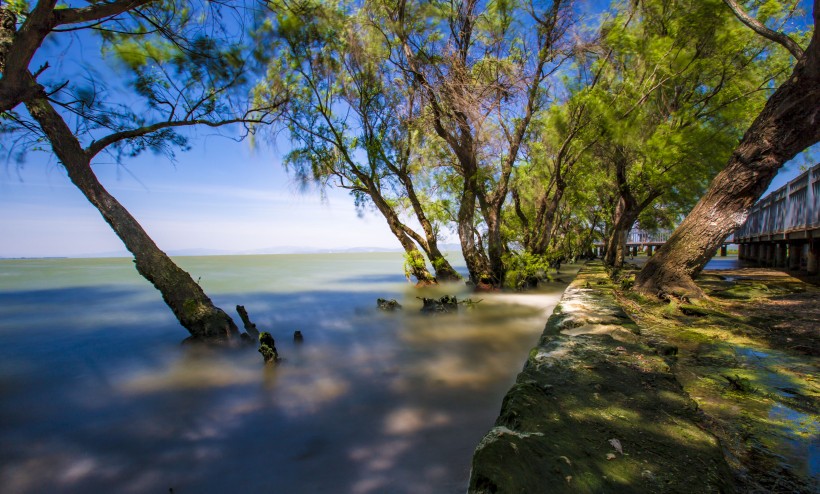 云南昆明捞鱼河湿地公园风景图片(21张)