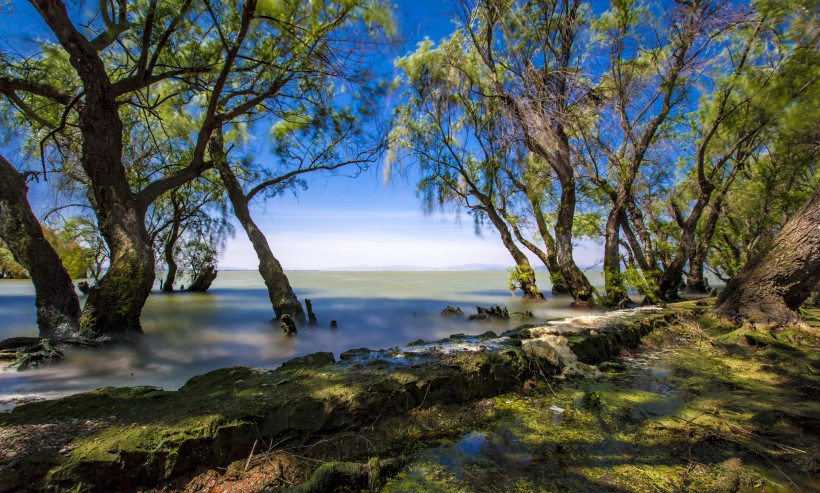 云南昆明捞鱼河湿地公园风景图片(21张)