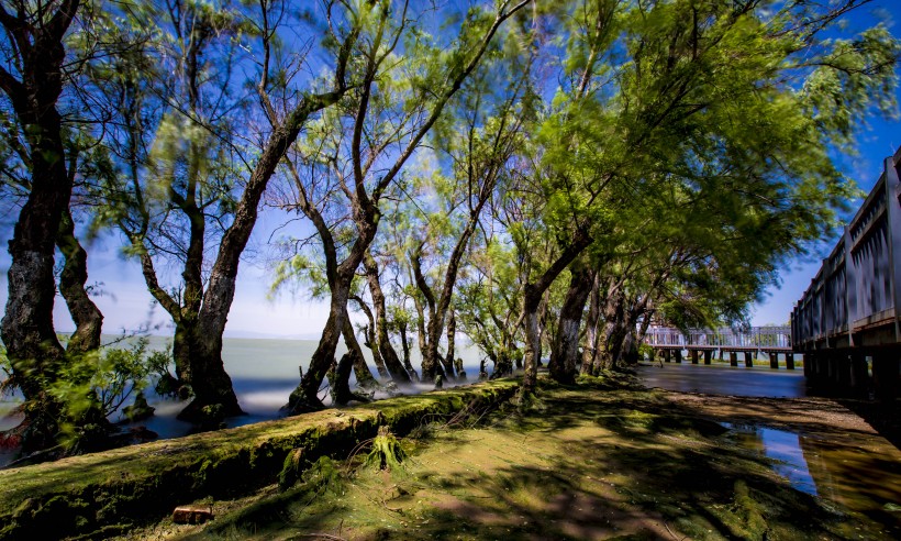 云南昆明捞鱼河湿地公园风景图片(21张)