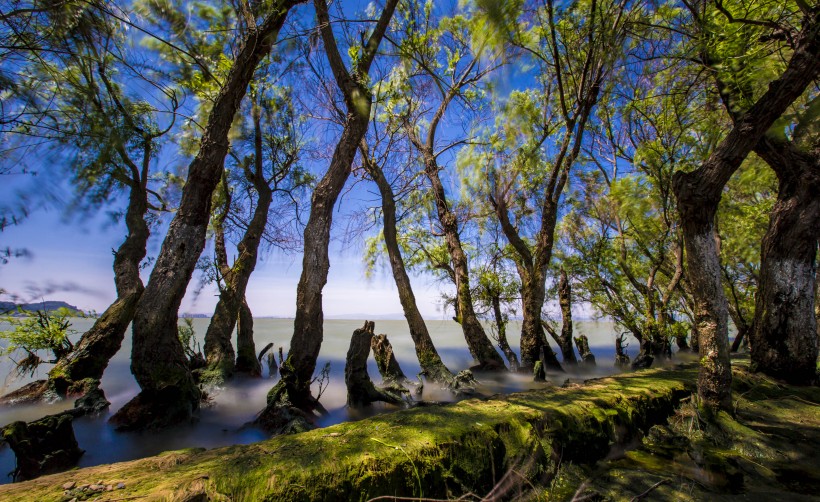 云南昆明捞鱼河湿地公园风景图片(21张)