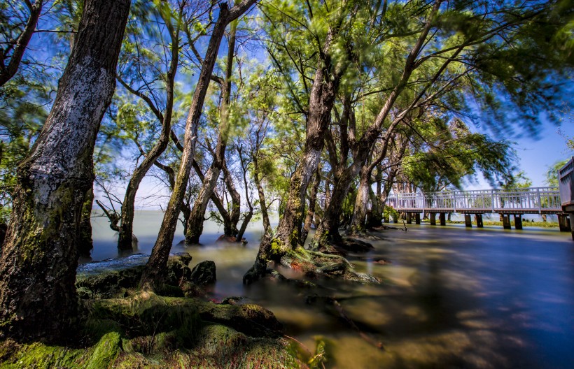 云南昆明捞鱼河湿地公园风景图片(21张)