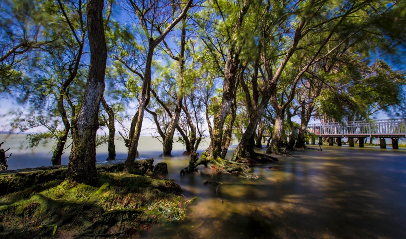 云南昆明捞鱼河湿地公园风景图片(21张)