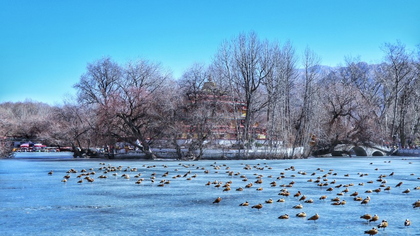 西藏拉萨高空航拍风景图片(19张)