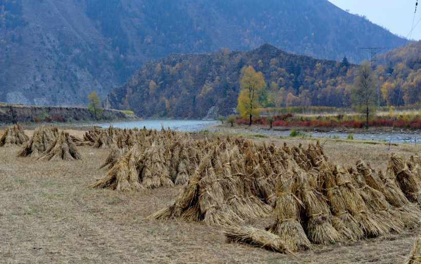 青海冷龙岭秋季风景图片(13张)