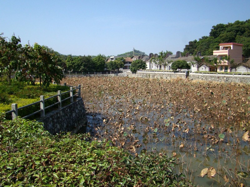 广东清远莲塘村风景图片(20张)