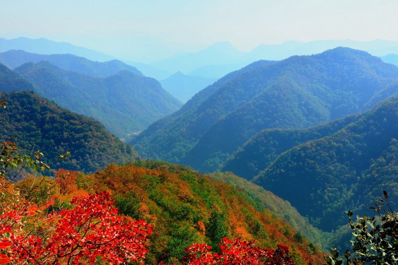 山西陵川红叶风景图片(13张)