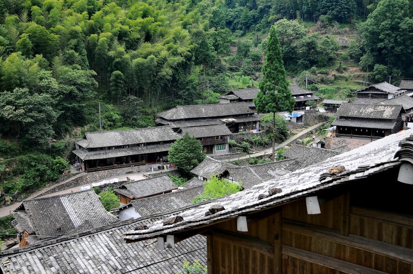 浙江林坑风景图片(14张)