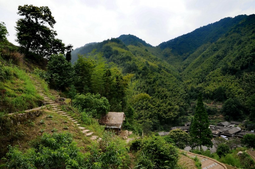 浙江林坑风景图片(14张)