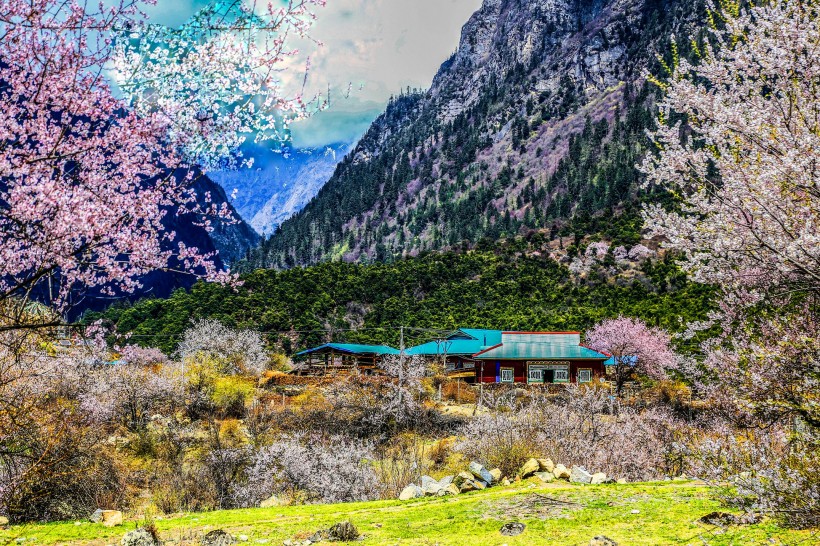 西藏林芝桃花沟风景图片(16张)