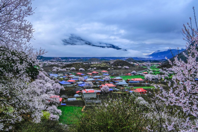 西藏林芝桃花沟风景图片(16张)