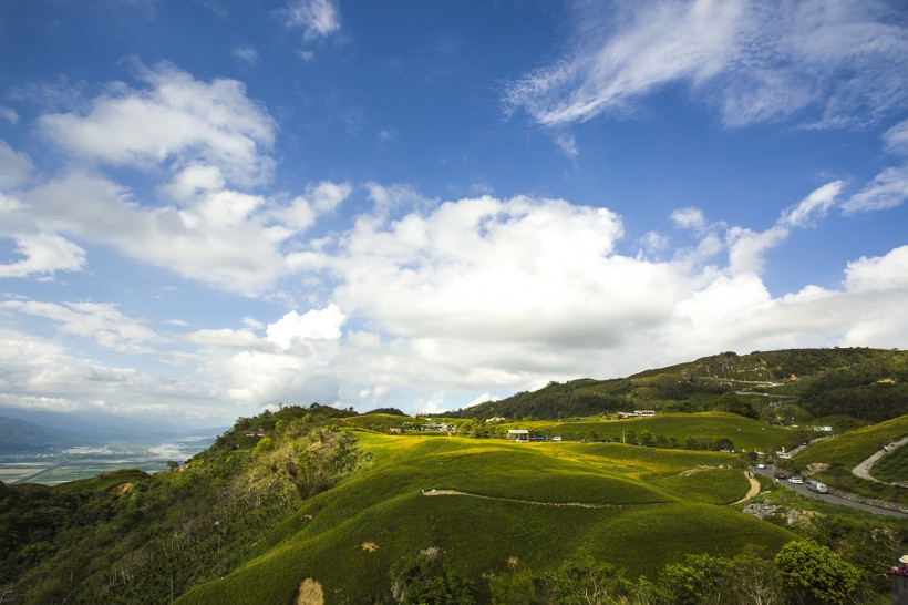 台湾六十石山金针花风景图片(7张)