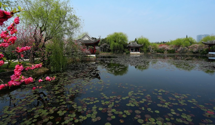 江苏无锡蠡园风景图片(13张)