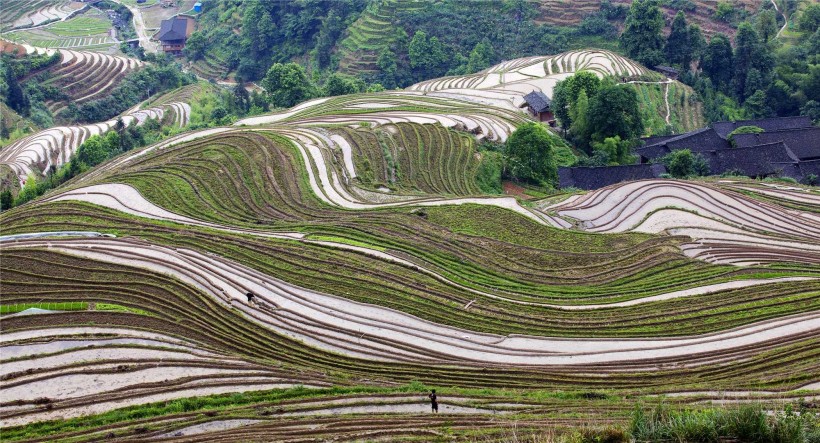 广西龙脊梯田风景图片(14张)