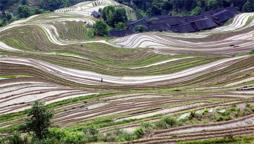 广西龙胜龙脊梯田线条风景图片(9张)