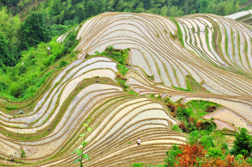 广西龙脊梯田风景图片(14张)