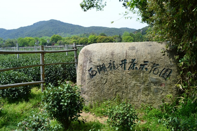 浙江杭州龙井村风景图片(5张)